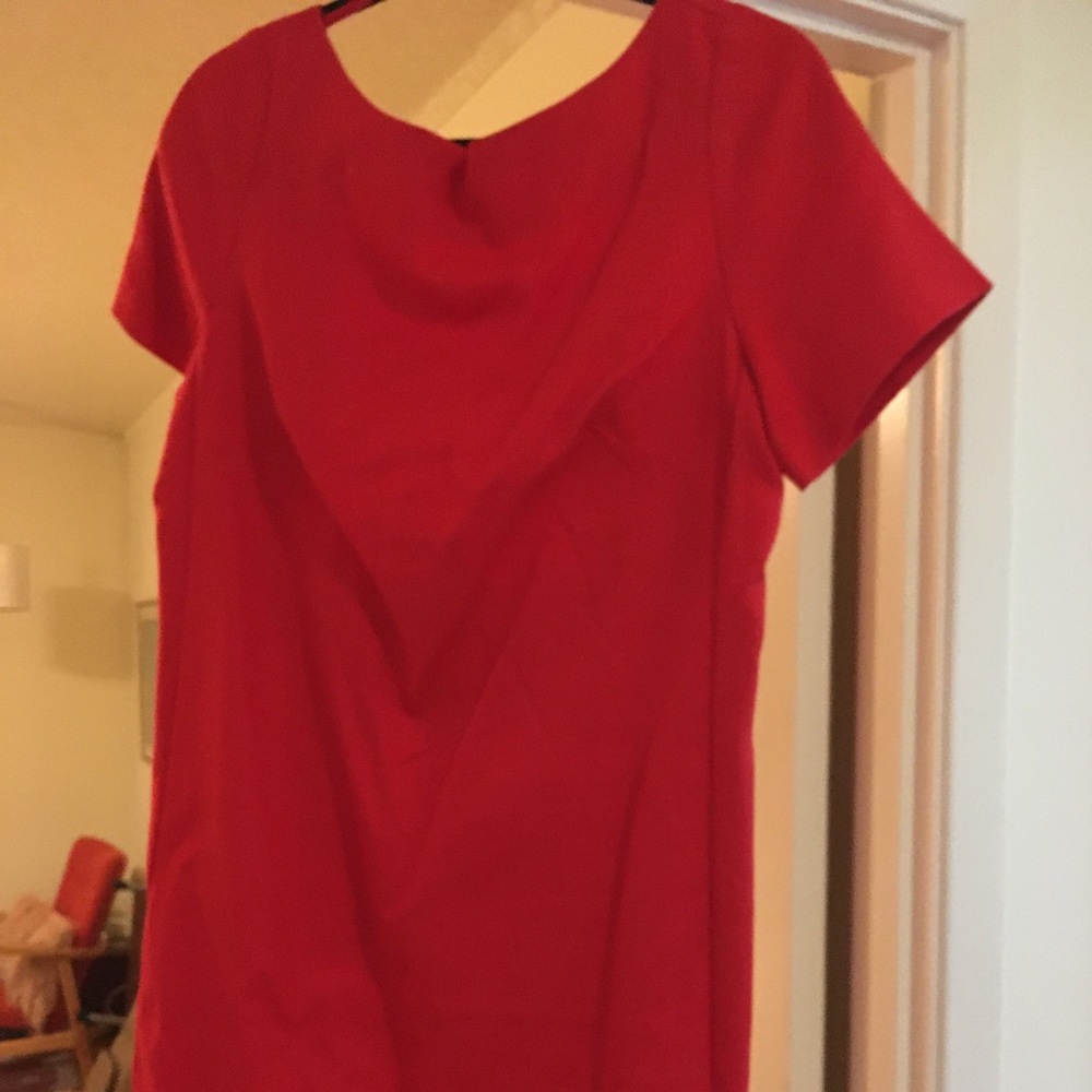 Mauve Shift Dress in Red